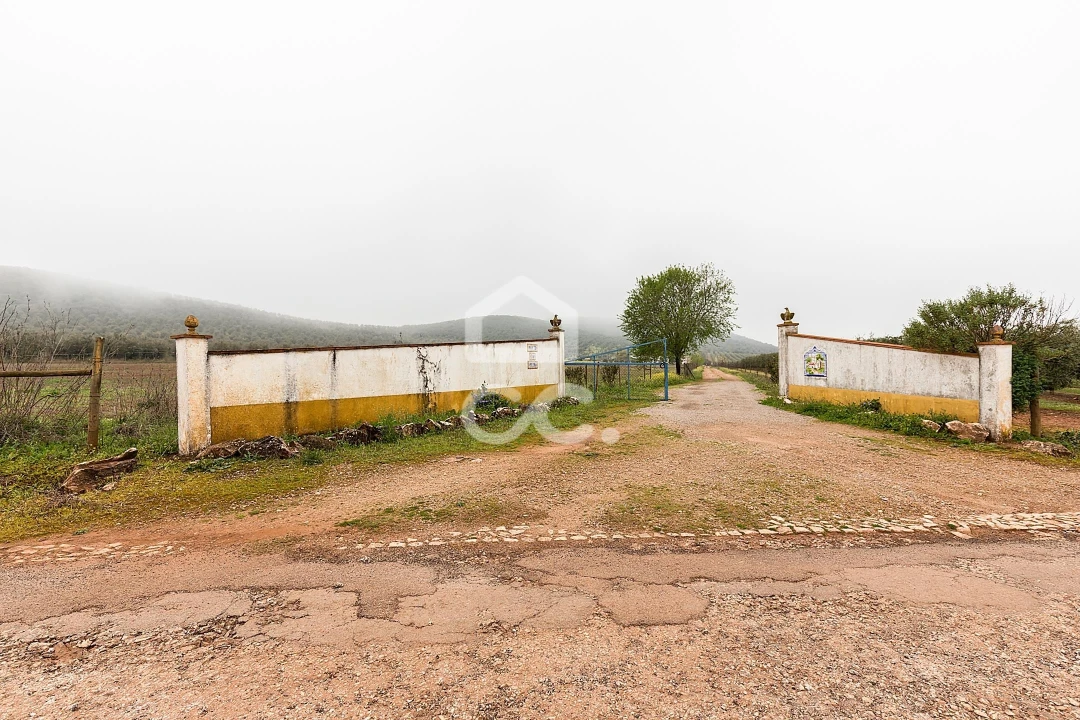 Quinta T2 para Venda em Sousel Foto 58