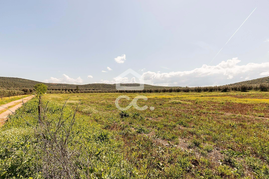 Quinta T2 para Venda em Sousel Foto 93