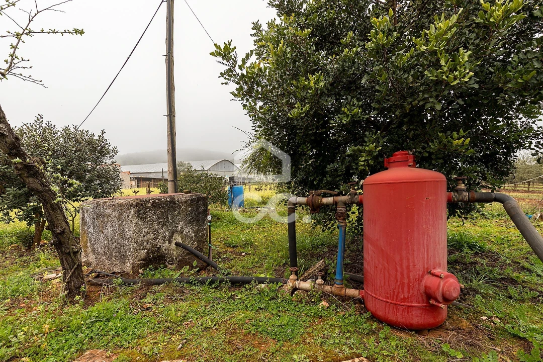 Quinta T2 para Venda em Sousel Foto 38