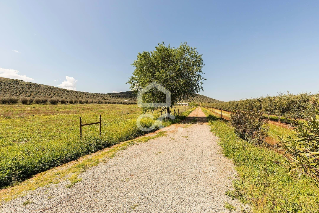 Quinta T2 para Venda em Sousel Foto 88