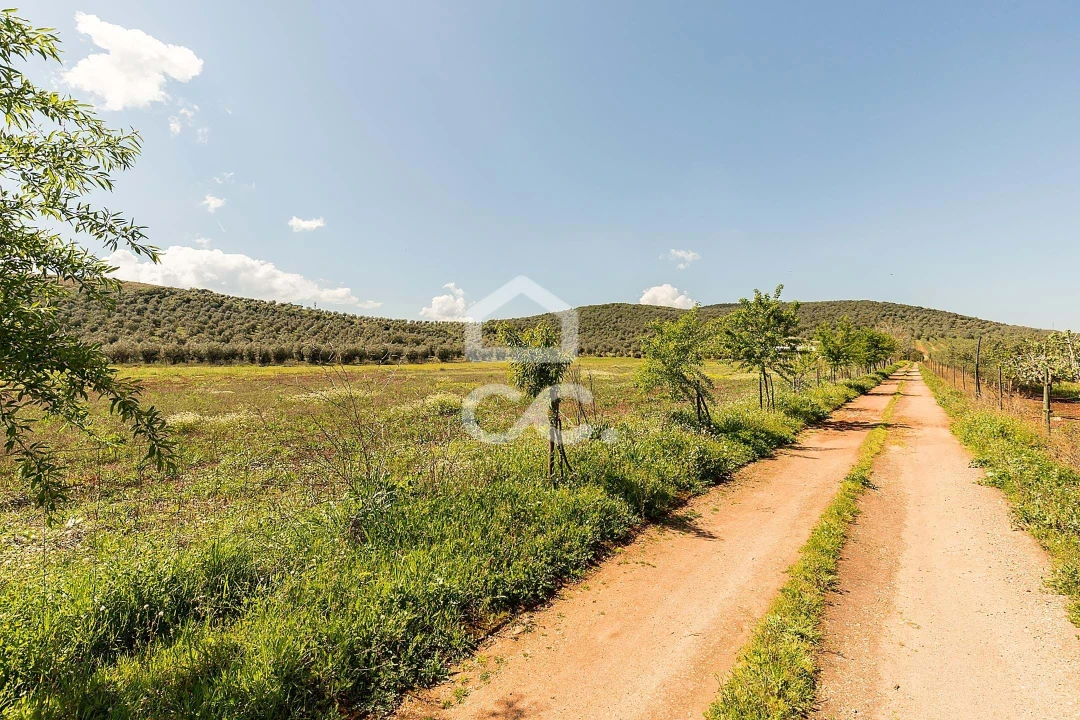 Quinta T2 para Venda em Sousel Foto 94