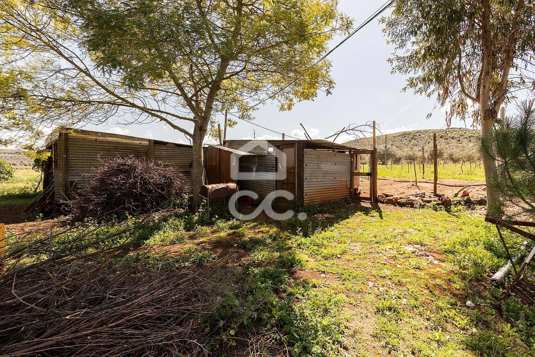 Quinta T2 para Venda em Sousel Foto 46