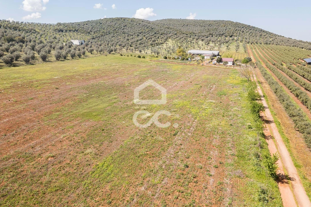 Quinta T2 para Venda em Sousel Foto 118