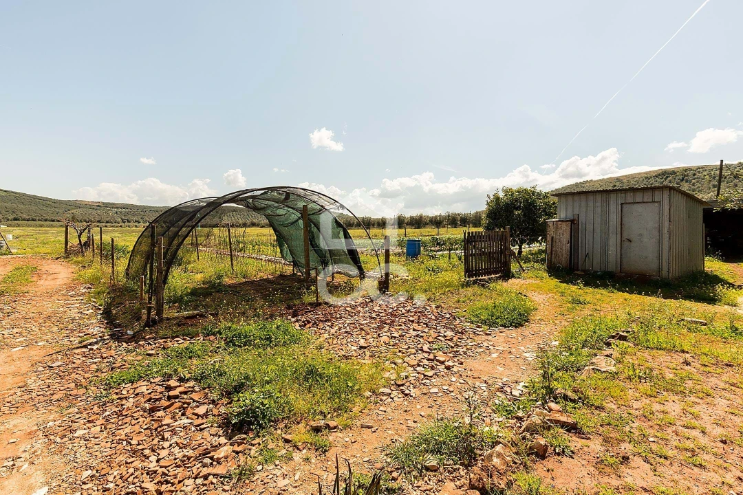 Quinta T2 para Venda em Sousel Foto 58