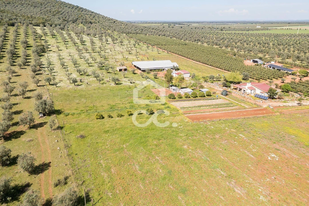 Quinta T2 para Venda em Sousel Foto 119