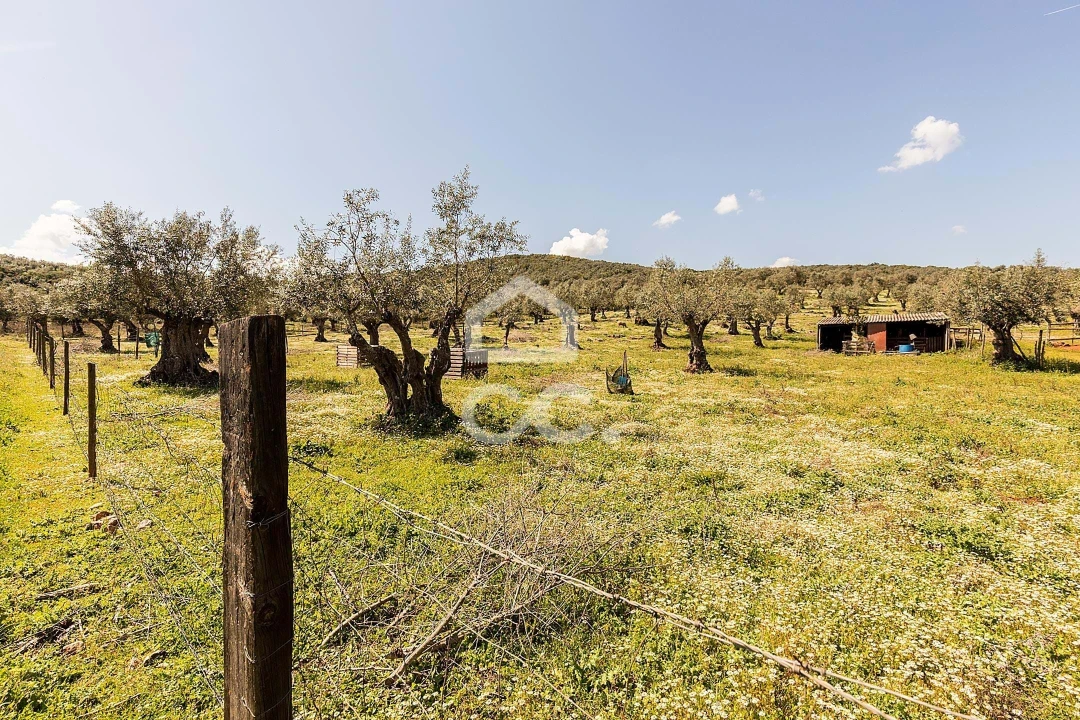 Quinta T2 para Venda em Sousel Foto 49