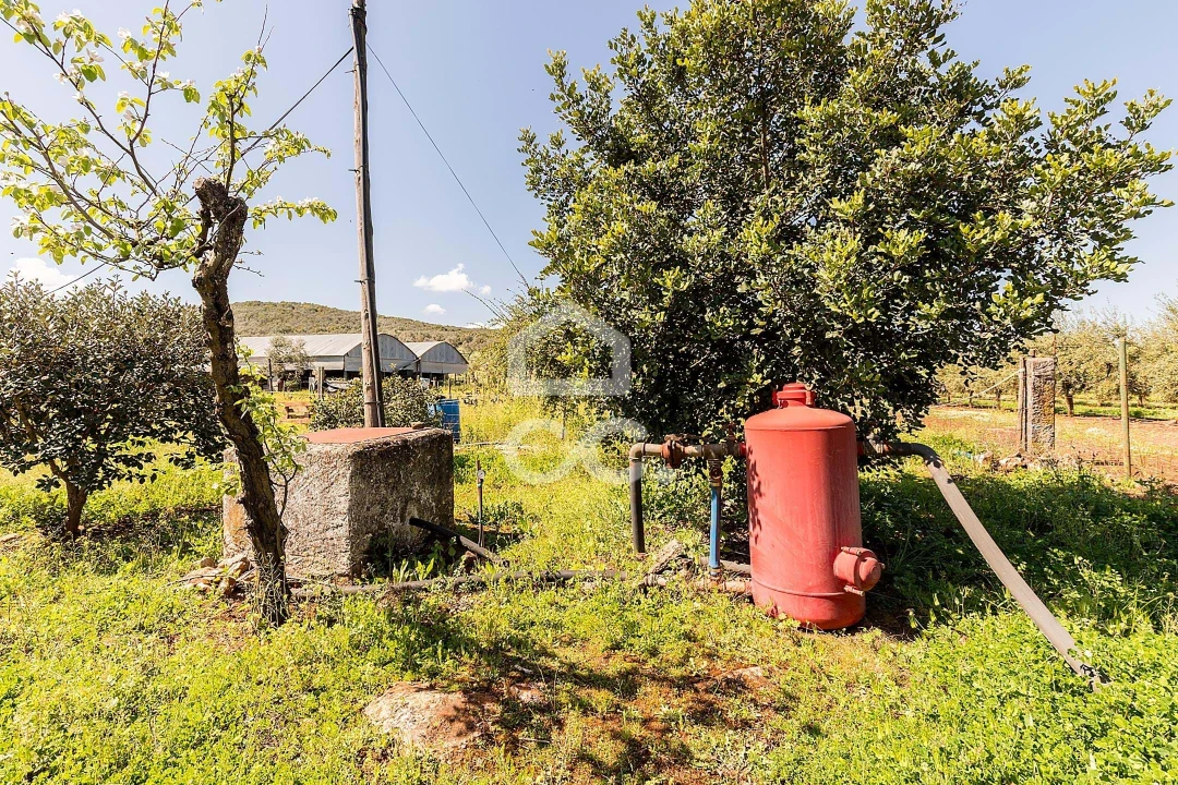 Quinta T2 para Venda em Sousel Foto 74