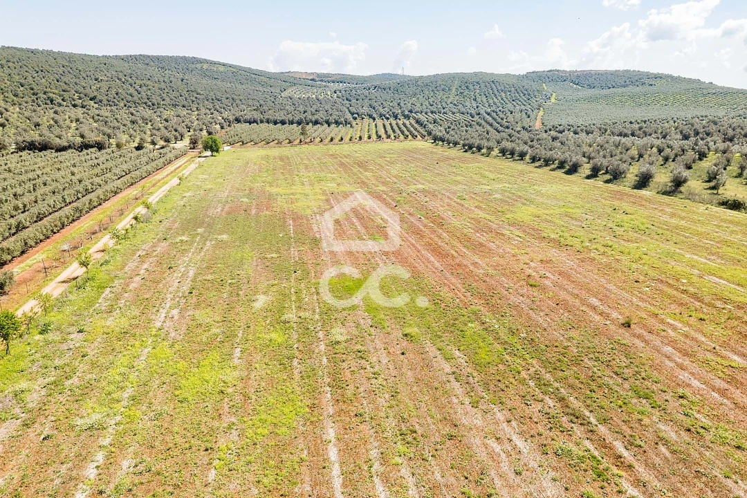 Quinta T2 para Venda em Sousel Foto 106