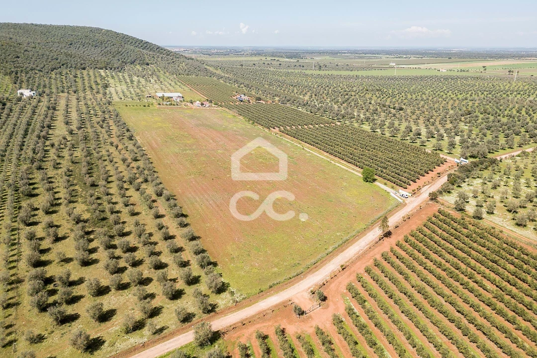 Quinta T2 para Venda em Sousel Foto 113