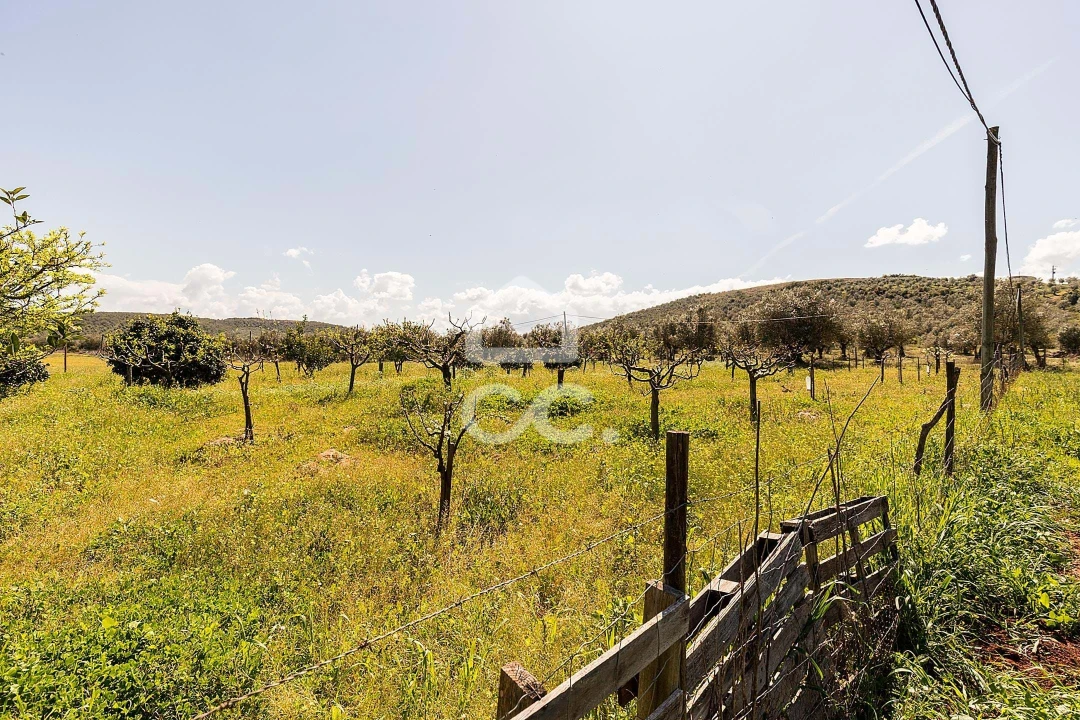 Quinta T2 para Venda em Sousel Foto 47