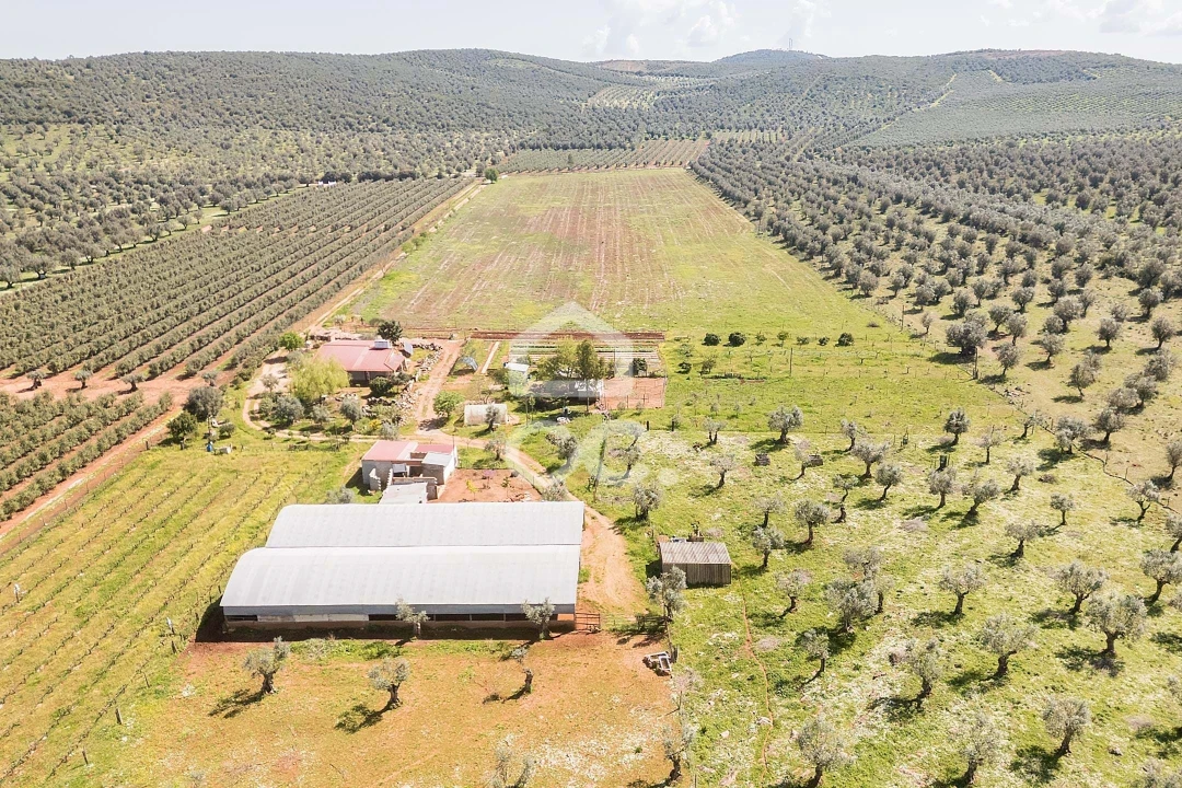 Quinta T2 para Venda em Sousel Foto 101