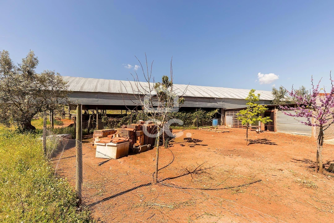 Quinta T2 para Venda em Sousel Foto 40