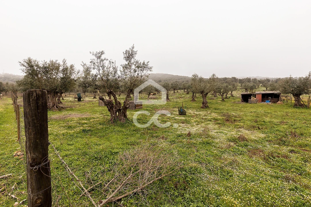 Quinta T2 para Venda em Sousel Foto 47