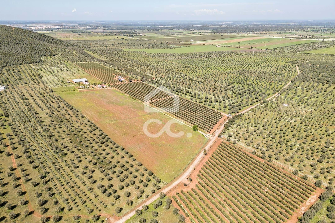 Quinta T2 para Venda em Sousel Foto 112