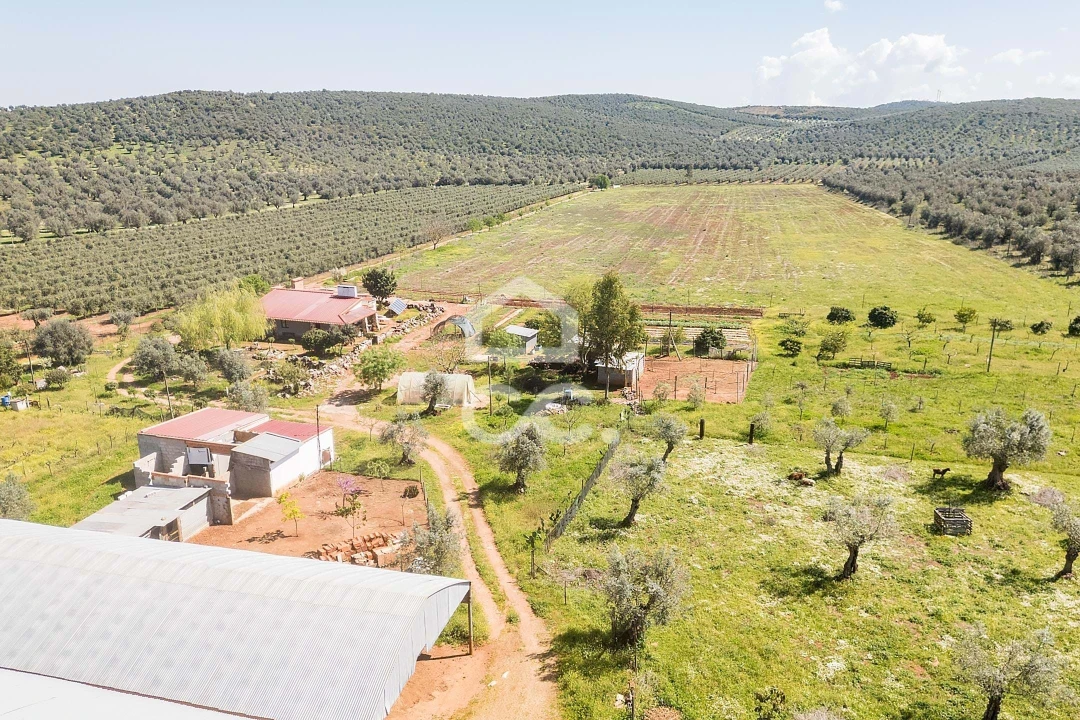 Quinta T2 para Venda em Sousel Foto 103