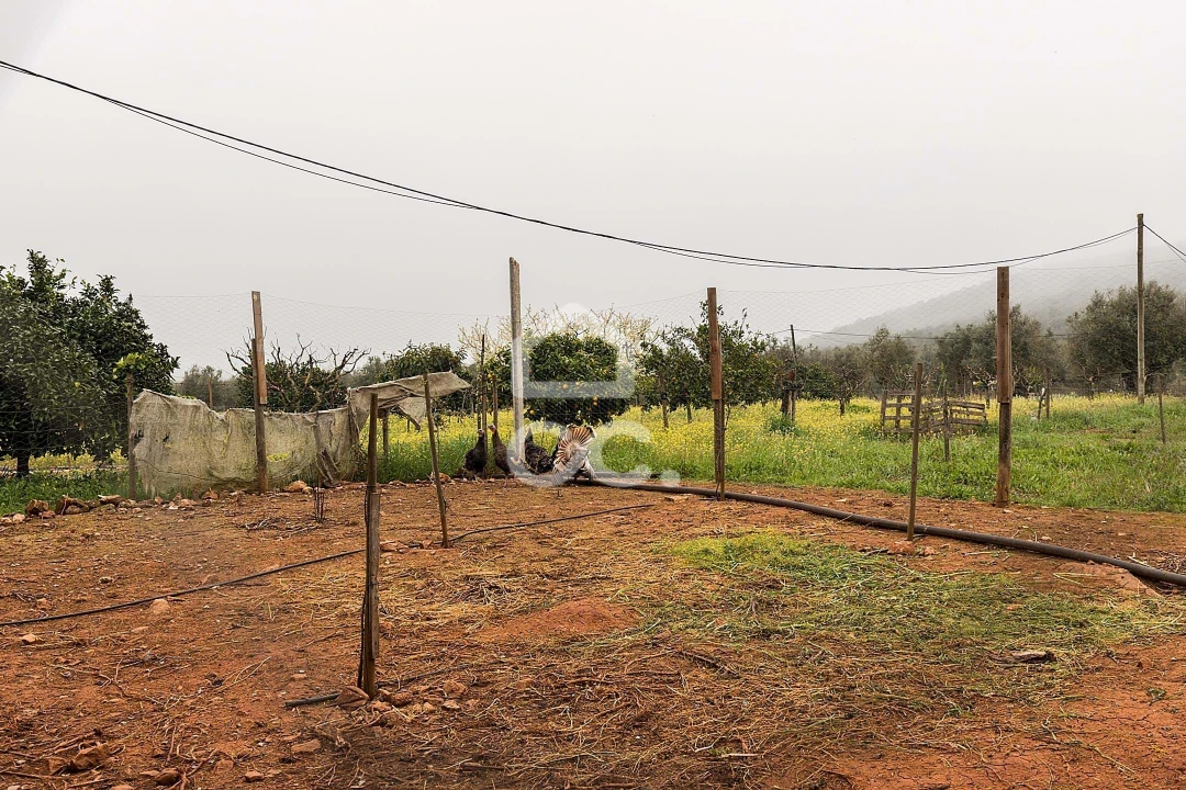 Quinta T2 para Venda em Sousel Foto 44