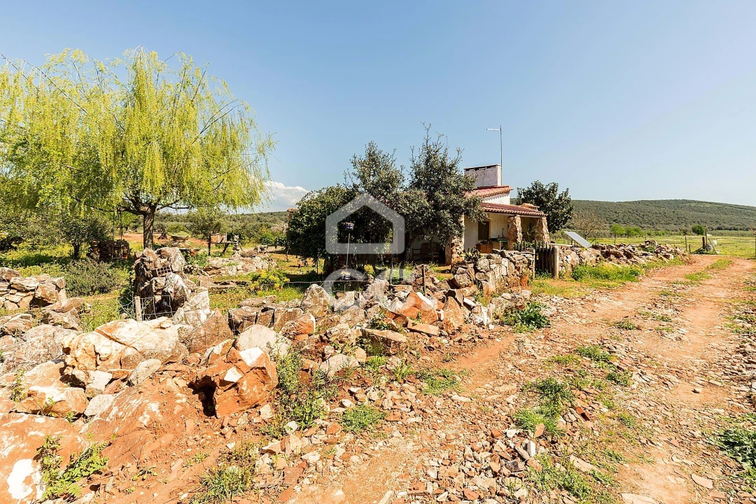 Quinta T2 para Venda em Sousel Foto 95