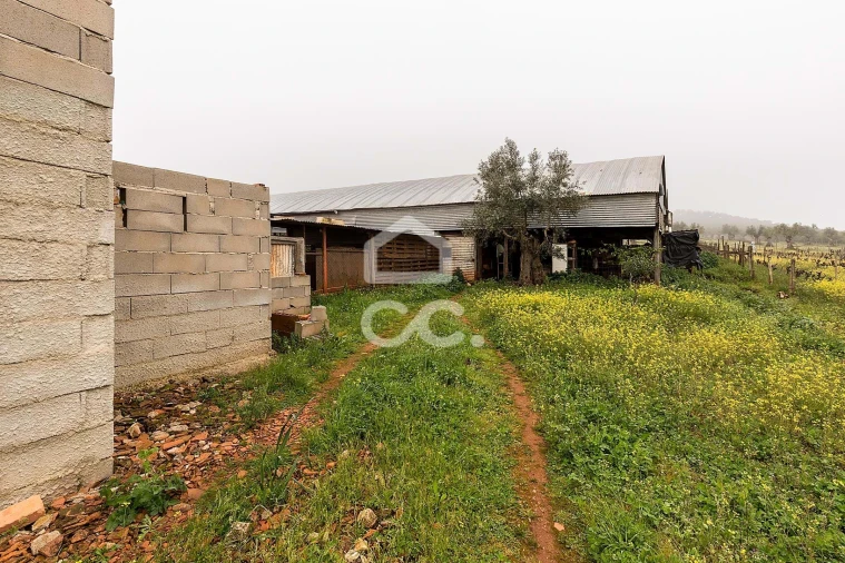 Quinta T2 para Venda em Sousel Foto 26