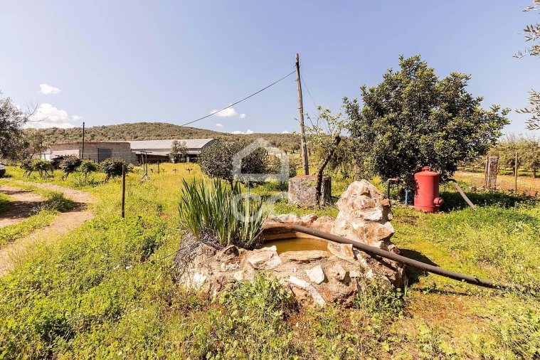 Quinta T2 para Venda em Sousel Foto 73