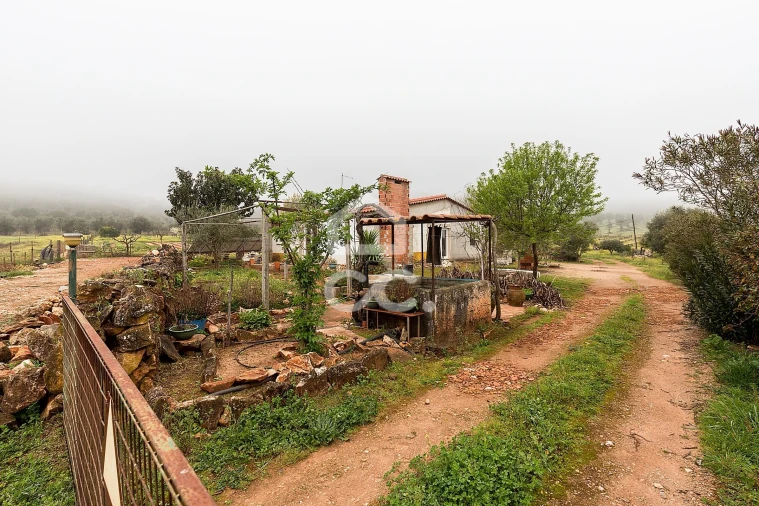 Quinta T2 para Venda em Sousel Foto 56