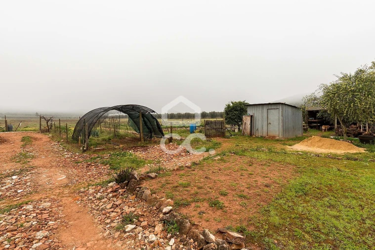 Quinta T2 para Venda em Sousel Foto 39