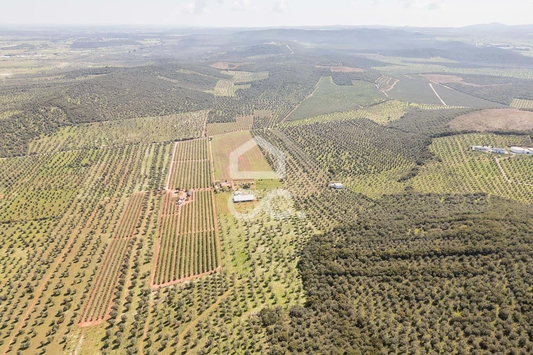 Quinta T2 para Venda em Sousel Foto 129