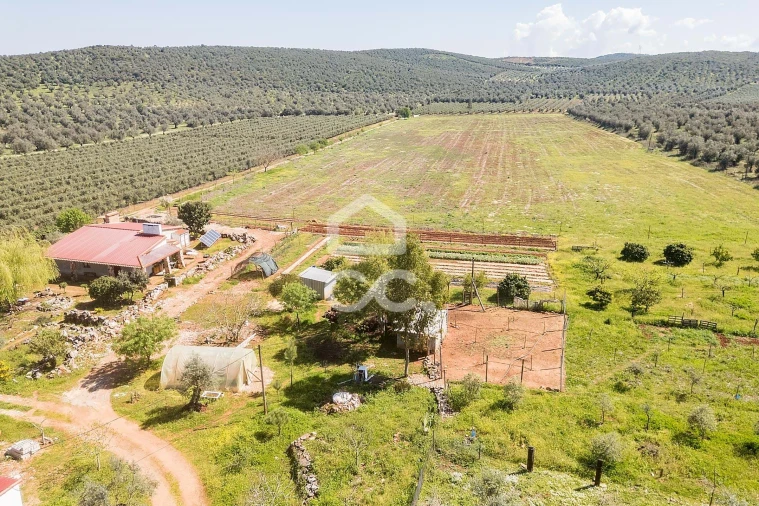 Quinta T2 para Venda em Sousel Foto 104