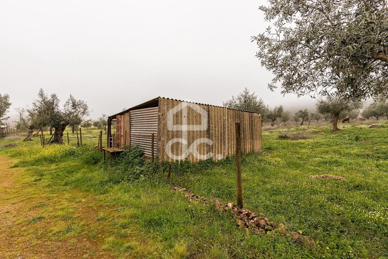 Quinta T2 para Venda em Sousel Foto 31