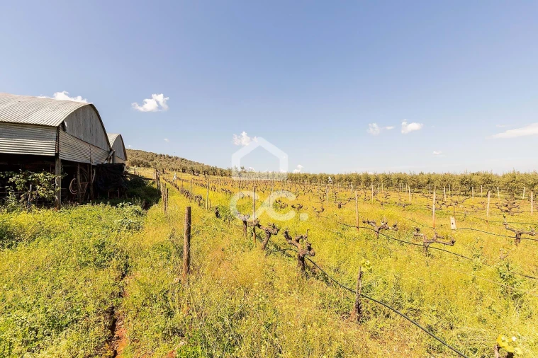 Quinta T2 para Venda em Sousel Foto 54