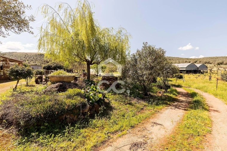 Quinta T2 para Venda em Sousel Foto 72