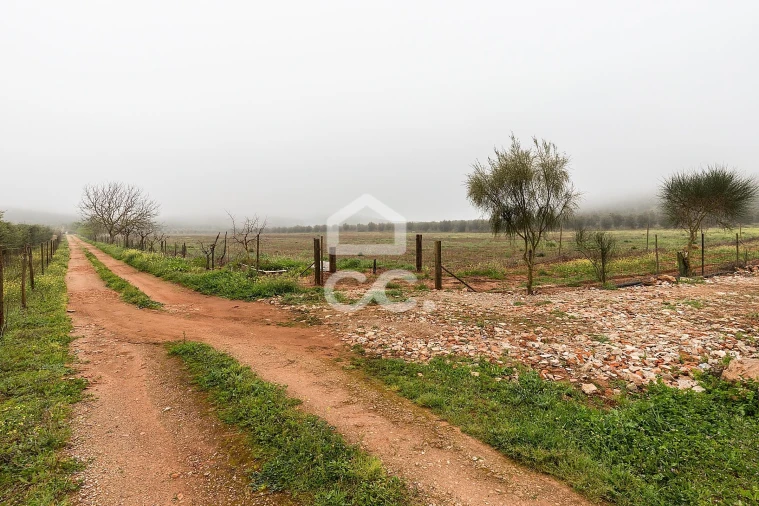 Quinta T2 para Venda em Sousel Foto 48