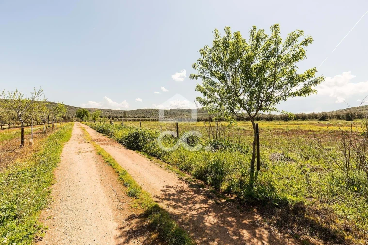 Quinta T2 para Venda em Sousel Foto 92