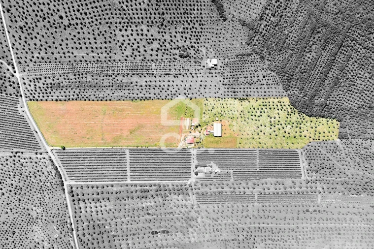 Quinta T2 para Venda em Sousel Foto 62