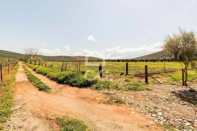 Quinta T2 para Venda em Sousel Foto 64