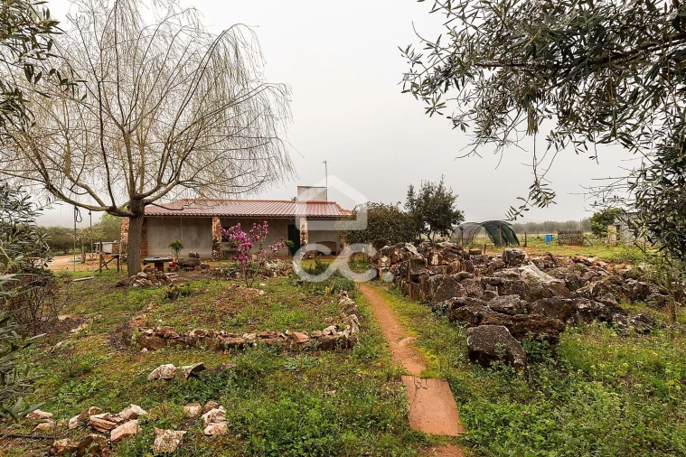 Quinta T2 para Venda em Sousel Foto 53