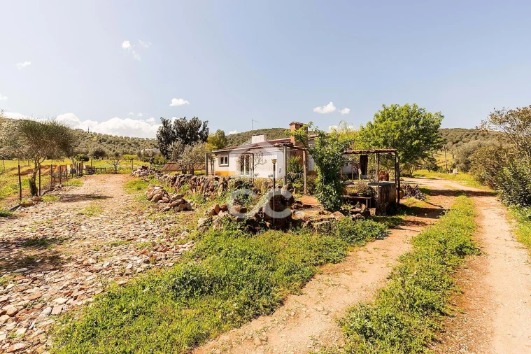 Quinta T2 para Venda em Sousel Foto 65