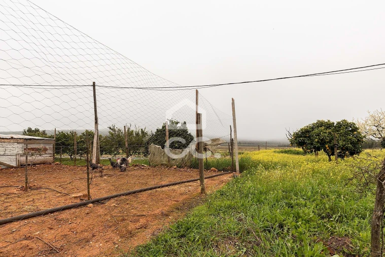 Quinta T2 para Venda em Sousel Foto 45