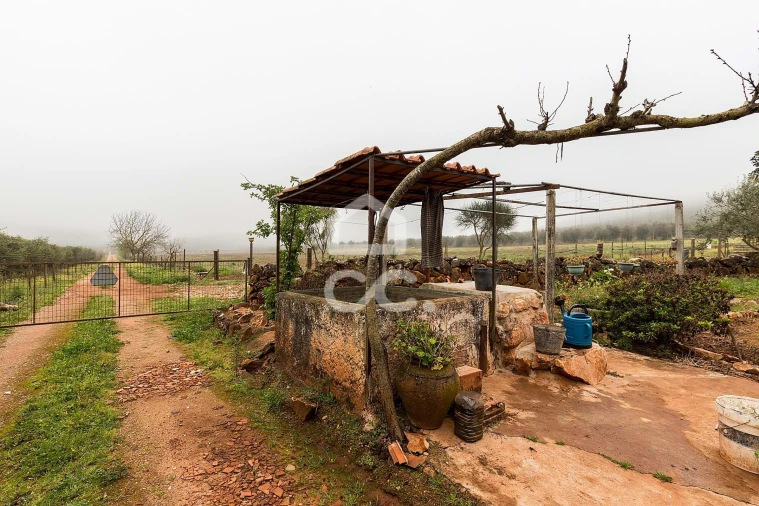 Quinta T2 para Venda em Sousel Foto 57