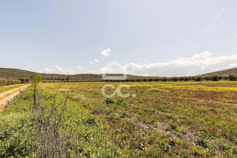 Quinta T2 para Venda em Sousel Foto 93