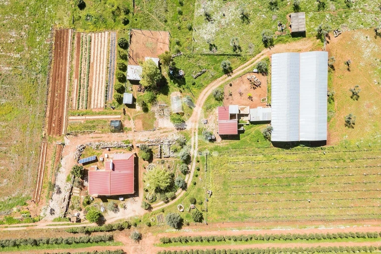 Quinta T2 para Venda em Sousel Foto 2