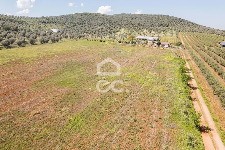 Quinta T2 para Venda em Sousel Foto 118