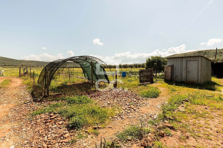 Quinta T2 para Venda em Sousel Foto 58