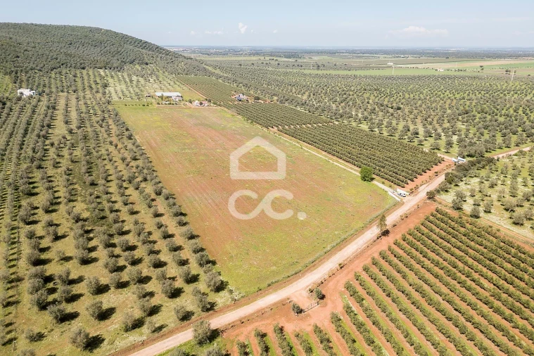 Quinta T2 para Venda em Sousel Foto 113