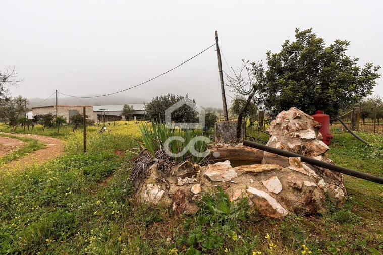 Quinta T2 para Venda em Sousel Foto 49