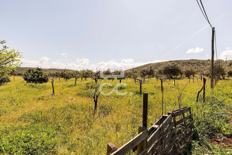 Quinta T2 para Venda em Sousel Foto 47