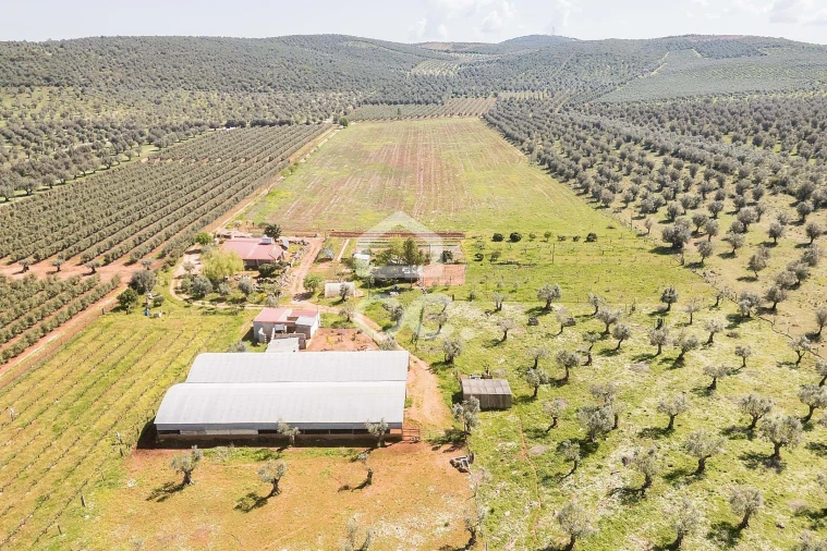 Quinta T2 para Venda em Sousel Foto 101