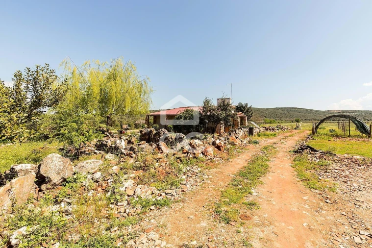 Quinta T2 para Venda em Sousel Foto 56