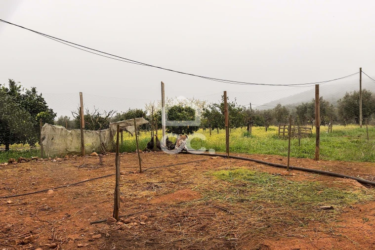 Quinta T2 para Venda em Sousel Foto 44