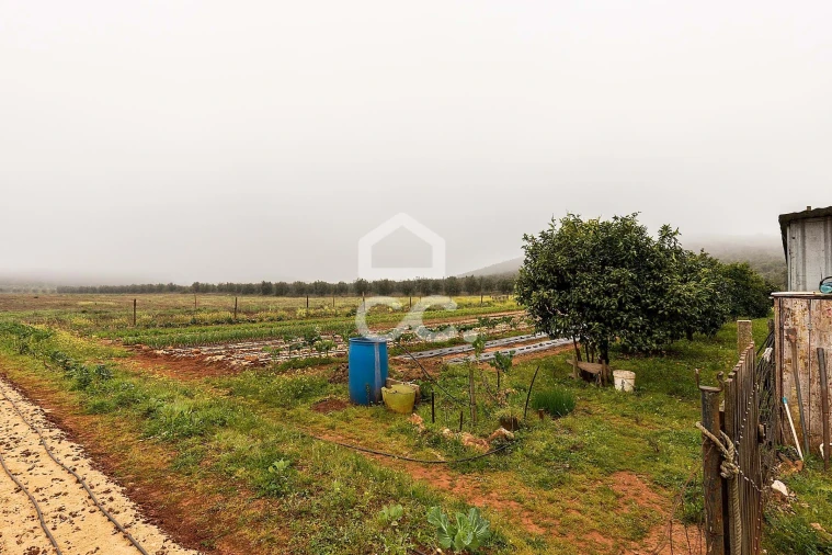 Quinta T2 para Venda em Sousel Foto 43