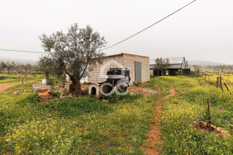 Quinta T2 para Venda em Sousel Foto 27